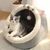 Zoomtopia Maison pour chat