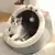 Zoomtopia Maison pour chat