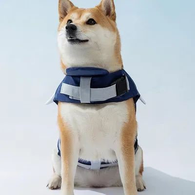 Pawzy Gilet de sauvetage pour chien en forme de requin