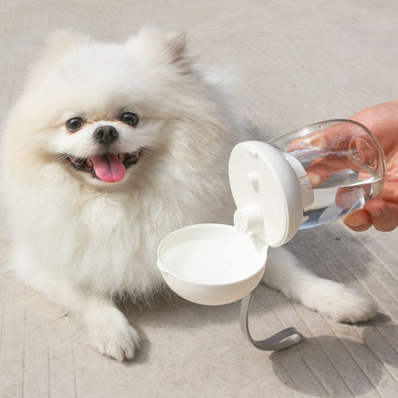 Zoomtopia Bouteille d'eau pour chien