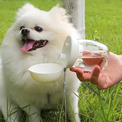 Zoomtopia Botella de agua para perros