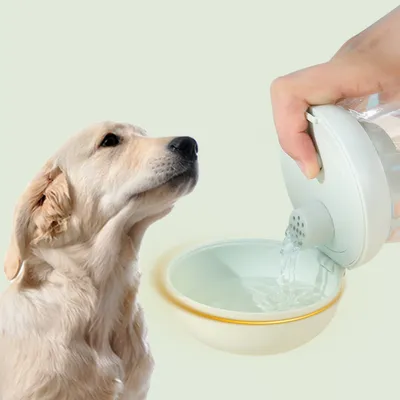 Zoomtopia Botella de agua para perros
