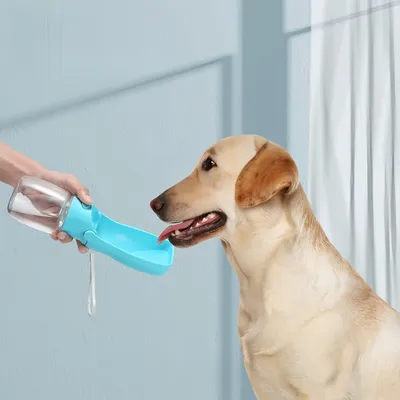 Pawzy Botella de agua práctica para gatos y perros