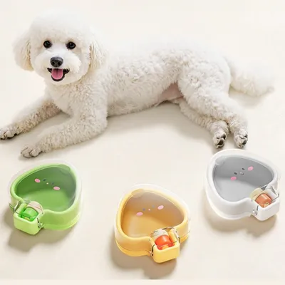 Zoomtopia Gourde portable pour chien et chat