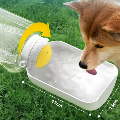 FurryFusion Gourde anti-fuite pour chien et chat
