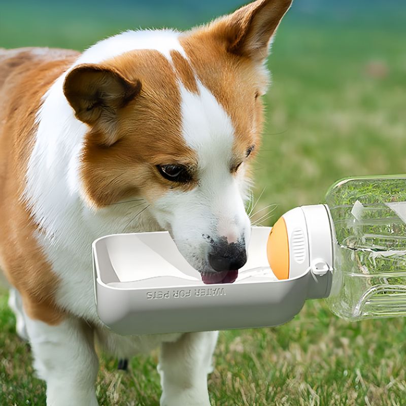 FurryFusion Gourde anti-fuite pour chien et chat