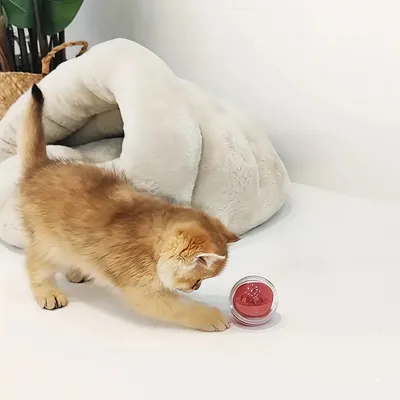 Zoomtopia Balle interactive distributeur de nourriture pour chat