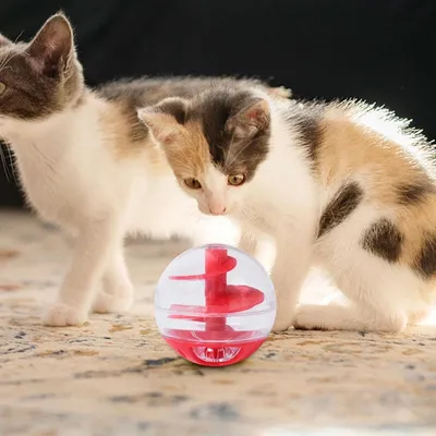 Zoomtopia Balle interactive distributeur de nourriture pour chat