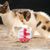 Zoomtopia Balle interactive distributeur de nourriture pour chat
