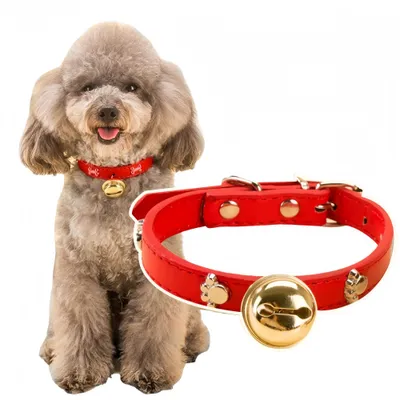 FurryFusion Collier avec cloche pour animal de compagnie FurryFusion Collier avec cloche pour animal de compagnie