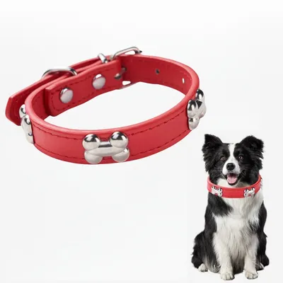 Zoomtopia Collier en cuir pour chien Zoomtopia Collier en cuir pour chien