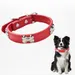 Zoomtopia Collier en cuir pour chien