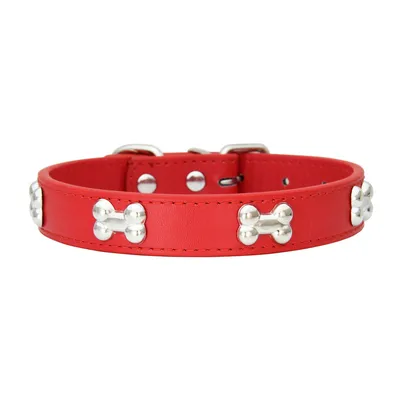 Zoomtopia Collier en cuir pour chien