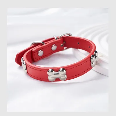 Zoomtopia Collier en cuir pour chien