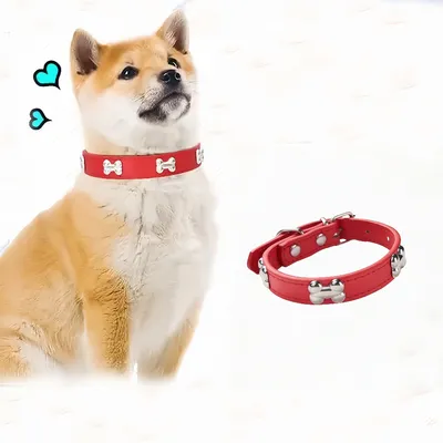 Zoomtopia Collier en cuir pour chien