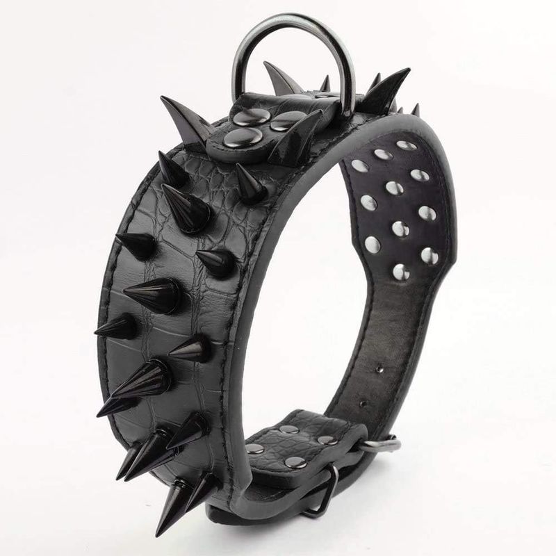 Zoomtopia Collier pour chien