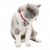 FurryFusion Collier avec cloche pour animal de compagnie