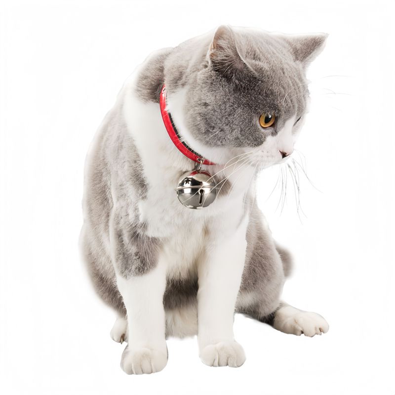FurryFusion Collier avec cloche pour animal de compagnie