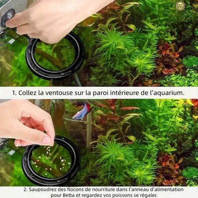 Zoomtopia Anneau d'alimentation pour poissons