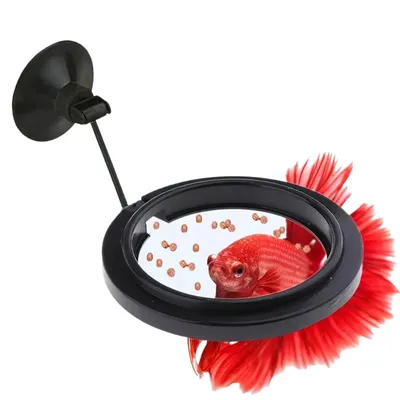 Zoomtopia Anneau d'alimentation pour poissons