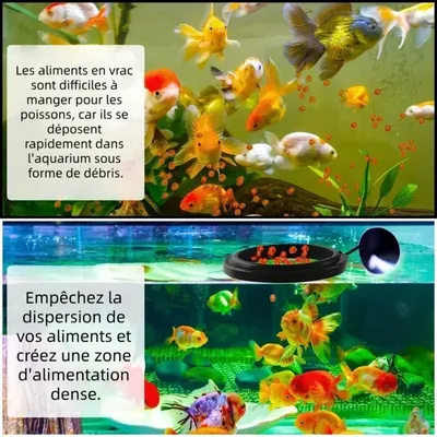 Zoomtopia Anneau d'alimentation pour poissons