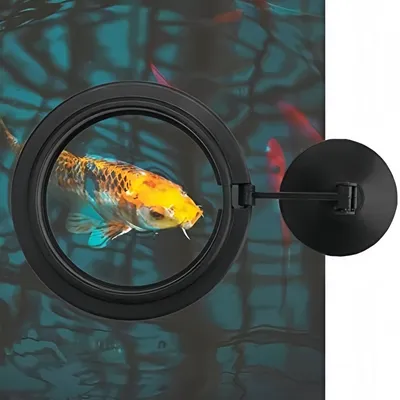 Zoomtopia Anneau d'alimentation pour poissons