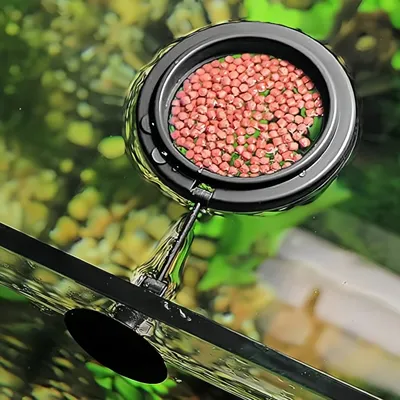 Zoomtopia Anneau d'alimentation pour poissons