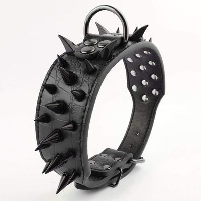 Zoomtopia Collier pour chien