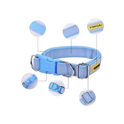 Zoomtopia Collier Dopamine pour chien