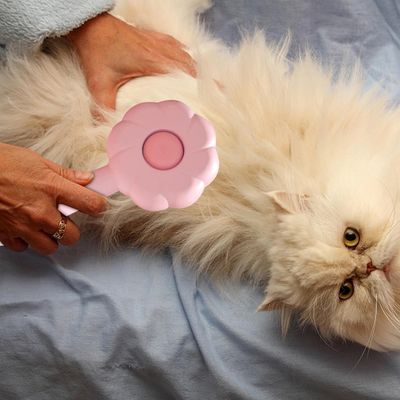 Zoomtopia Brosse pour chat avec bouton de déverrouillage