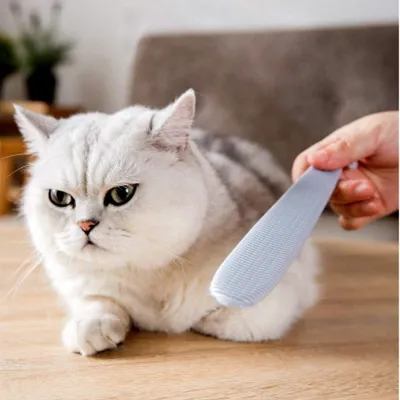 Zoomtopia Peigne à barbe pour chat