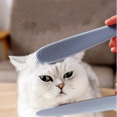 Zoomtopia Peigne à barbe pour chat