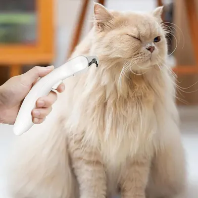Zoomtopia Brosse pour chat