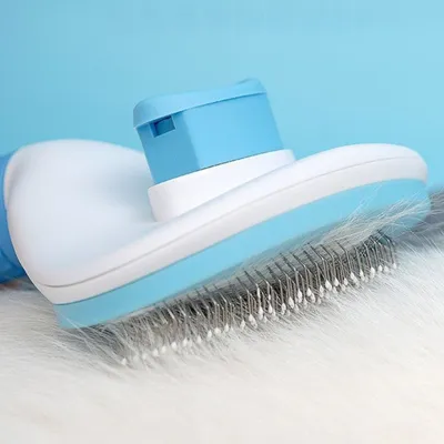 Zoomtopia Brosse pour chat