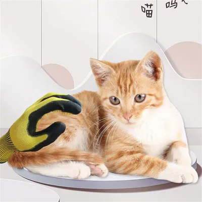 IntiMeg Gant pour brosser et laver les animaux de compagnie