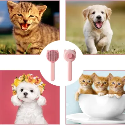 Zoomtopia Nettoyeur de poils d'animaux