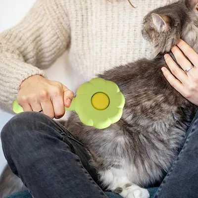 Zoomtopia Brosse pour chat avec bouton de déverrouillage