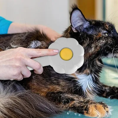 Zoomtopia Brosse pour chat avec bouton de déverrouillage