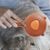 Zoomtopia Brosse de toilettage pour chat