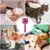 Zoomtopia Brosse de toilettage pour chat