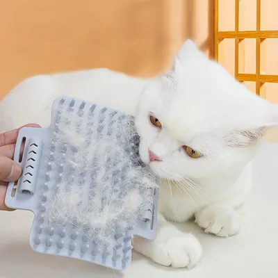 Pawzy Brosse à nettoyage et à massage pour chat