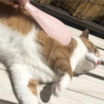 Zoomtopia Brosse de massage pour la langue des animaux