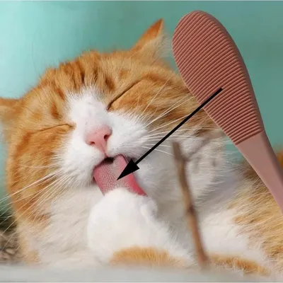 Zoomtopia Brosse de massage pour la langue des animaux