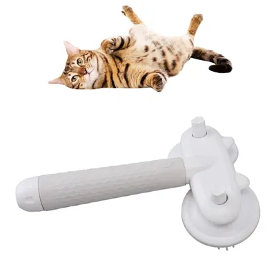 Masseur pour animaux, ions négatifs