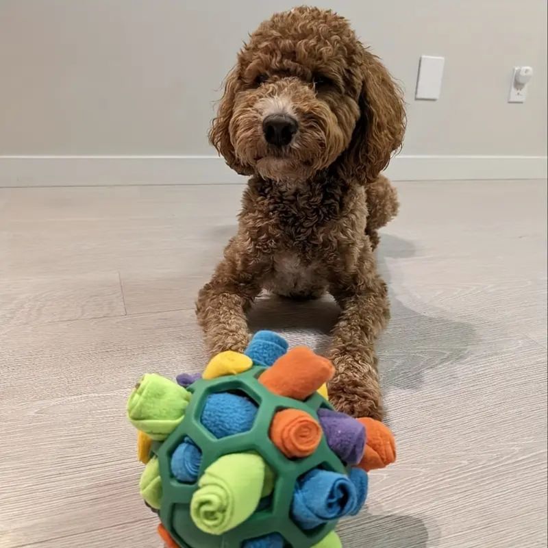 Zoomtopia Jouet interactif pour chien