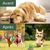 Zoomtopia Jouet interactif pour chien