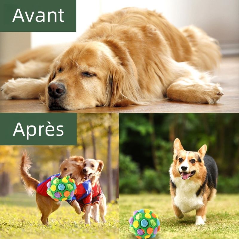 Zoomtopia Jouet interactif pour chien
