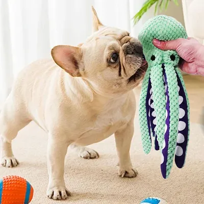 Zoomtopia Jouet en forme de poulpe pour chien