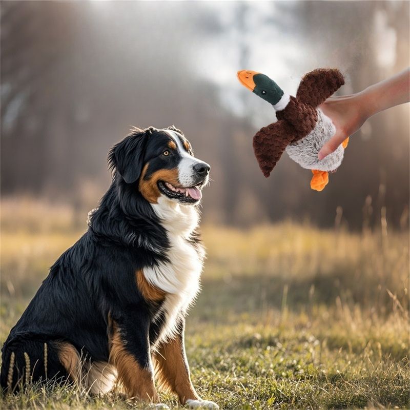 IntiMeg Jouet pour chien en forme de canard en peluche