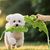 Zoomtopia Jouet chirriant en peluche pour chien